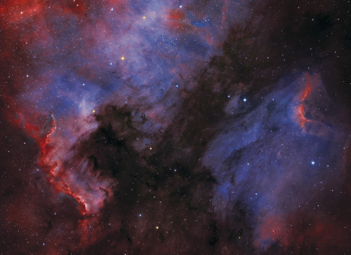 The North America Nebula and the Pelican Nebula in the constellation Cygnus Poster Print - Item # VARPSTFEN200029S