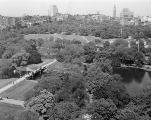 USA  Massachusetts  Boston cityscape Poster Print