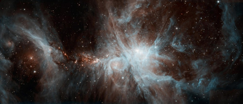 A colony of hot young stars in the Orion Nebula Poster Print