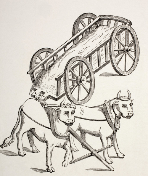 Cart Drawn By Oxen. 15Th Century. From Les Artes Au Moyen Age, Published Paris 1873. PosterPrint - Item # VARDPI1903959