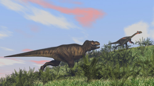 Tyrannosaurus Rex hunting a Gigantoraptor in an open field Poster Print - Item # VARPSTKVA600171P