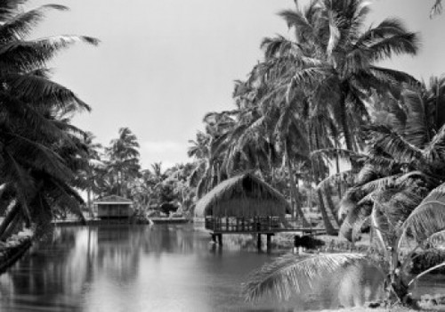 USA  Hawaii  grass hut Poster Print - Item # VARSAL255419129