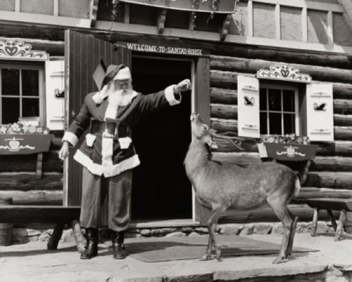 Santa Claus feeding a reindeer Poster Print - Item # VARSAL2555682