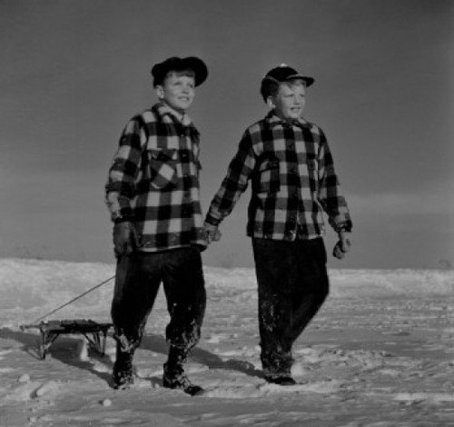 Twin boys with sledge Poster Print