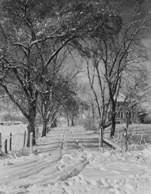 USA  Colorado  Winter road scene Poster Print - Item # VARSAL255423088