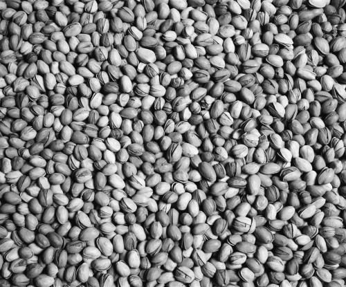 Pistachio nuts; Waterloo, Quebec, Canada PosterPrint - Item # VARDPI2333744