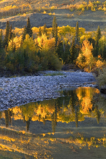 Autumn Reflections PosterPrint - Item # VARDPI1784111