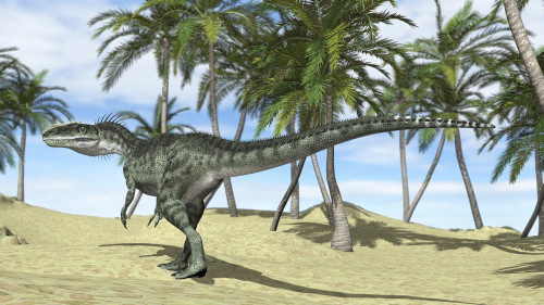 Monolophosaurus in a prehistoric environment with palm trees Poster Print - Item # VARPSTKVA600400P