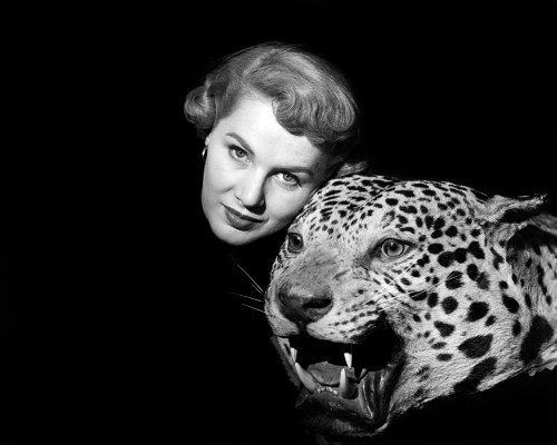 1950s Dramatic Face Shot Woman Looking At Camera Posing With Fierce Stuffed Leopard Head Print By Vintage Collection - Item # PPI177388LARGE