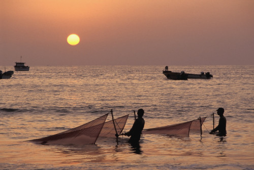 Fishermen Holding Nets In Sea At Sunset PosterPrint - Item # VARDPI1880051