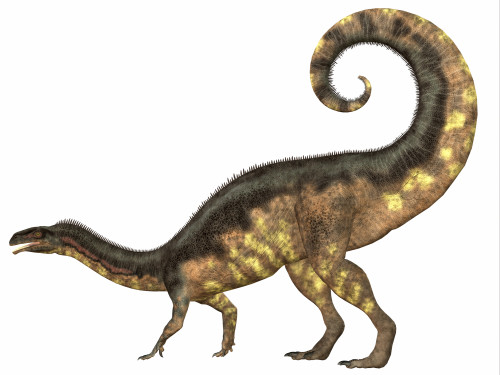 Plateosaurus was a prosauropod herbivorous dinosaur that lived in the Triassic Age of Europe Poster Print - Item # VARPSTCFR200498P