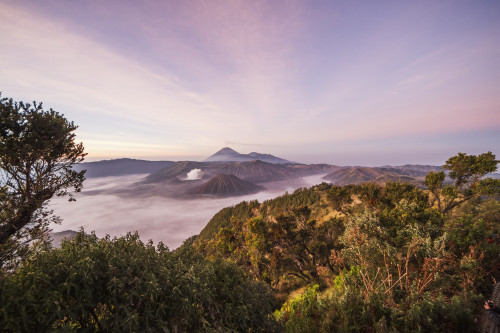 Tengger Caldera with steaming Mount Bromo, Mount Batok and Mount Semeru in the background, seen from the western viewpoint at dawn, Bromo Tengger Semeru National Park, East Java, Indonesia PosterPrint - Item # VARDPI12273961 Tengger Caldera with steaming Mount Bromo, Mount Batok and Mount Semeru in the background, seen from the western viewpoint at dawn, Bromo Tengger Semeru National Park, East Java, Indonesia PosterPrint - Item # VARDPI12273961