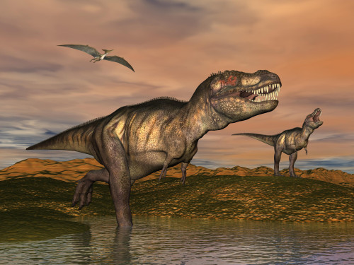 Two Tyrannosaurus Rex dinosaurs with pteranodon bird flying above in desert landscape Poster Print - Item # VARPSTEDV600148P