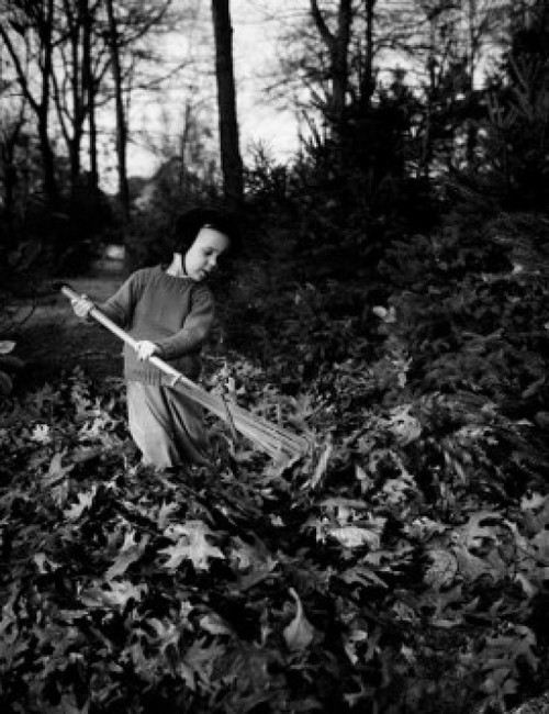 Boy raking leaves Poster Print - Item # VARSAL255416148
