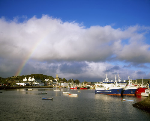 Killybegs Harbour, Co Donegal, Ireland PosterPrint - Item # VARDPI1811058