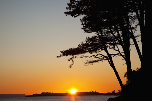 Sunset Over Kenmare Bay Near Blackwater; County Kerry Ireland PosterPrint - Item # VARDPI1936271