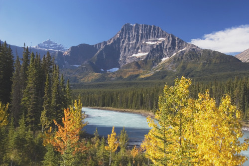 Athabasca River In Autumn, Jasper National Park, Alberta, Canada PosterPrint - Item # VARDPI1866129