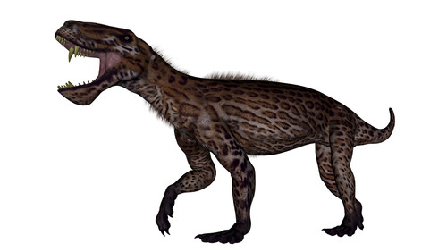 Lycaenops dinosaur roaring, white background Poster Print