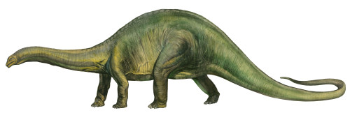 Brontosaurus, a prehistoric era dinosaur from the Jurassic period Poster Print - Item # VARPSTSKR100102P