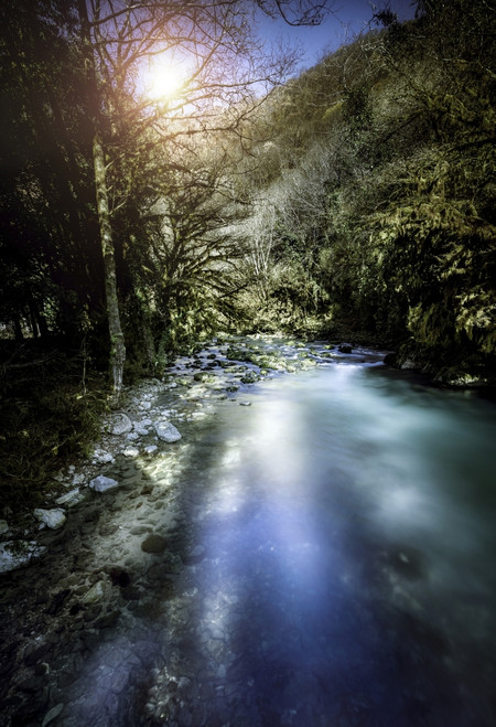 A river in a forest at sunset, Ritsa Nature Reserve, Abkhazia, Georgia Poster Print - Item # VARPSTEVK200192S
