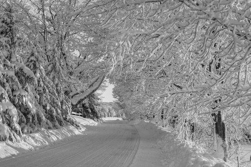 A snow covered road in winter; Iron Hill, Quebec, Canada PosterPrint - Item # VARDPI2333776