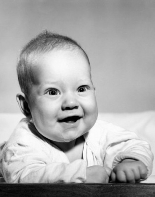 Studio portrait of baby boy laughing Poster Print - Item # VARSAL2554522