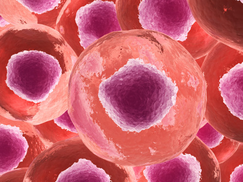 Microscopic view of animal cell Poster Print - Item # VARPSTSTK700855H