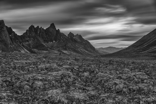 Black and white image of the Tombstone Valley in Tombstone Territorial Park, Tombstone Mountain in the distance; Yukon, Canada PosterPrint - Item # VARDPI12271101