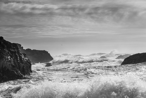 Waves rolling on shore; Tofino, British Columbia, Canada PosterPrint - Item # VARDPI12287733