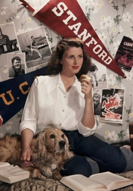 Young woman sitting on the bed with her dog Poster Print - Item # VARSAL380720847
