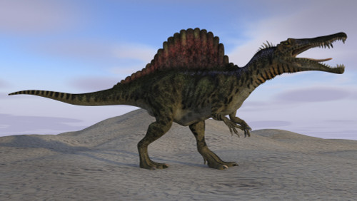 Spinosaurus on barren terrain Poster Print - Item # VARPSTKVA600556P
