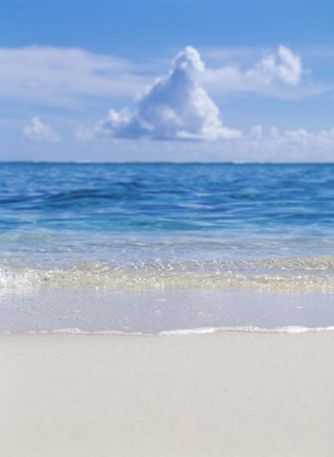 Tropical beach with blue skies in background Poster Print by Panoramic Images (27 x 36) - Item # PPI124221