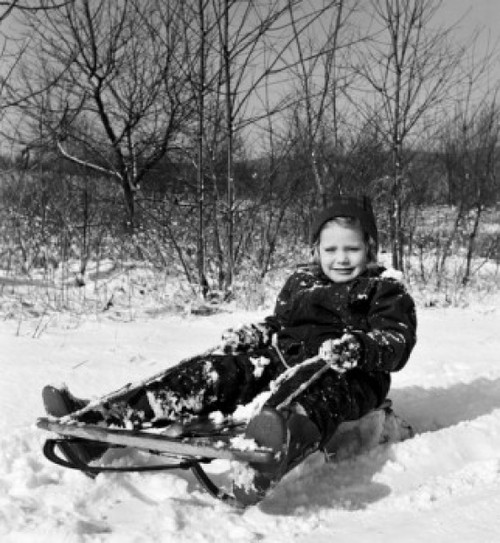 Girl on sledge Poster Print