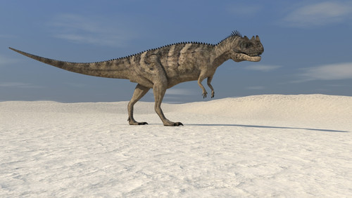 Ceratosaurus walking across a barren landscape Poster Print - Item # VARPSTKVA600308P
