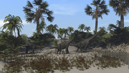 Three Brachiosaurus dinosaurs grazing on vegetation Poster Print - Item # VARPSTKVA600153P
