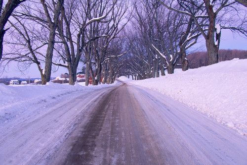 Snowy country road Poster Print - Item # VARPPI81682