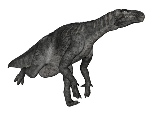 Iguanodon dinosaur running, white background Poster Print - Item # VARPSTEDV600346P