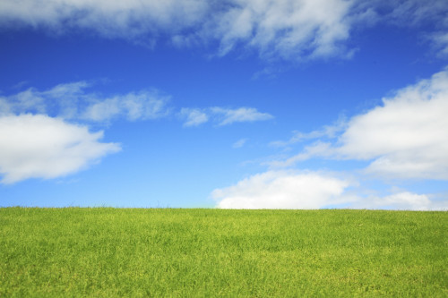 Hawaii, Oahu, Beautiful Landscape Of Green Grass And A Blue Sky. PosterPrint - Item # VARDPI1974320