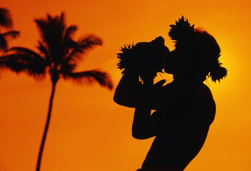 Hawaii, Maui, Napili, Silhouette Of Man Blowing Conch Shell At Sunset, Fiery Orange Sky, Palm Tree. PosterPrint - Item # VARDPI1993913