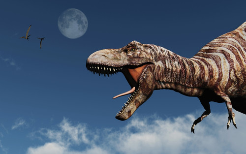 Profile of a Tyrannosaurus rex Poster Print - Item # VARPSTMAS600066P