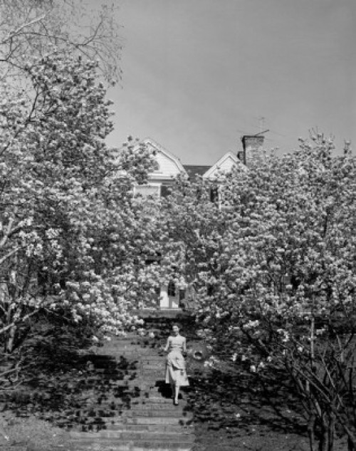 Young woman in orchard behind house Poster Print