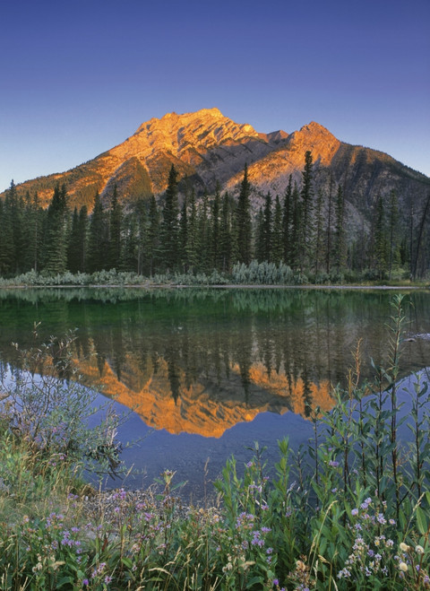 Fv3592, Natural Moments Photography; Mountain Scenic PosterPrint - Item # VARDPI2015220