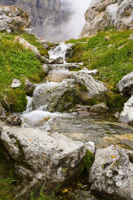 Stream In Kananaskis, Alberta, Canada PosterPrint - Item # VARDPI1841928
