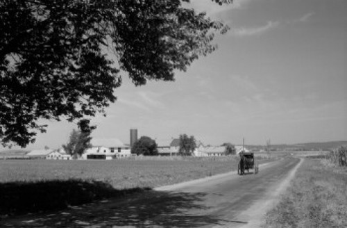 USA  Pennsylvania  Lancaster County  rural road Poster Print - Item # VARSAL255423480