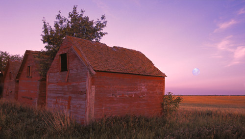 Farm Buildings PosterPrint