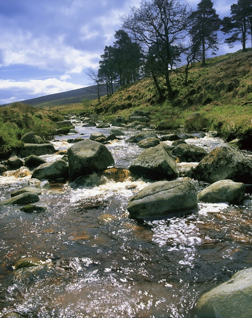 Sally Gap, River Liffey, Co Wicklow, Ireland PosterPrint - Item # VARDPI1802295
