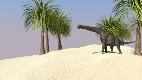 Large Brachiosaurus in a tropical environment Poster Print - Item # VARPSTKVA600263P