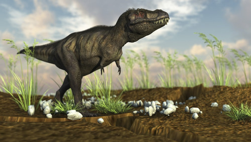 Tyrannosaurus Rex walking across desert terrain Poster Print - Item # VARPSTKVA600643P
