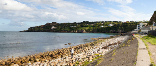 View of a suburb, Howth, Dublin Bay, Dublin, Leinster Province, Republic of Ireland Poster Print - Item # VARPPI148348