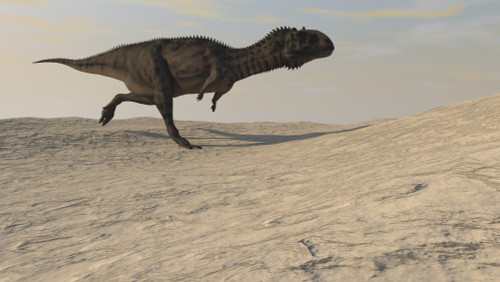 Majungasaurus running across a barren desert Poster Print - Item # VARPSTKVA600100P